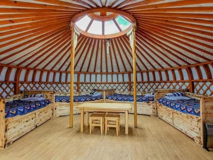Apache Eco Camp, Terelj Nationalpark Mongolia Hotel Bayan Bulagiin Hural Exterior photo