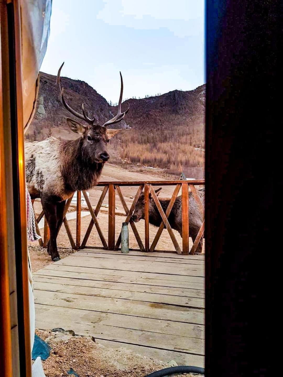 Apache Eco Camp, Terelj Nationalpark Mongolia Hotel Bayan Bulagiin Hural Exterior photo